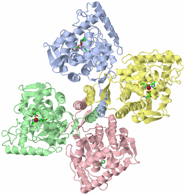 Image Asym./Biol. Unit - sites