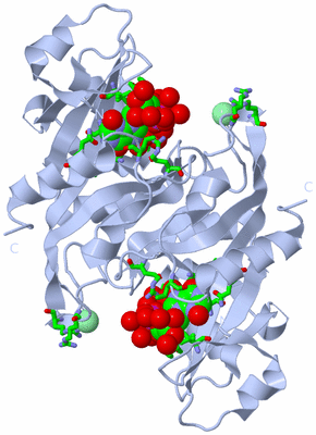 Image Biol. Unit 1 - sites