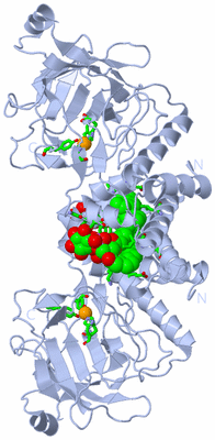 Image Biol. Unit 1 - sites