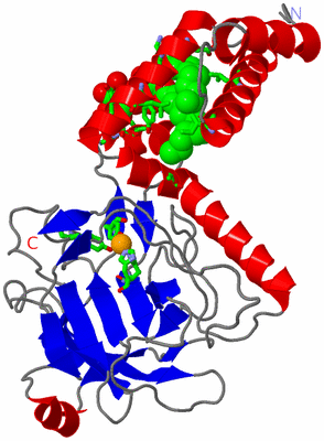 Image Asym. Unit - sites