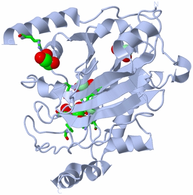 Image Biol. Unit 1 - sites