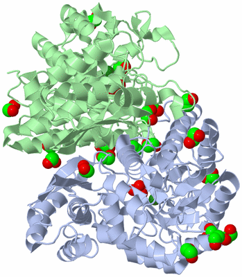 Image Asym./Biol. Unit