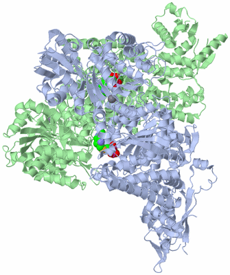 Image Asym./Biol. Unit