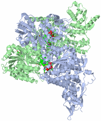 Image Asym./Biol. Unit - sites