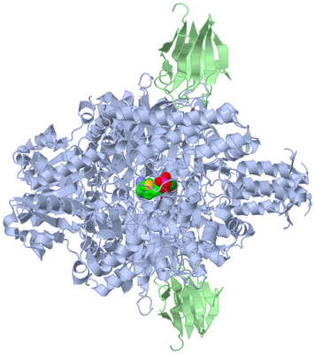 Image Biological Unit 1