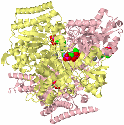 Image Biological Unit 2