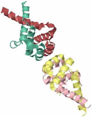 Image Biological Unit 2