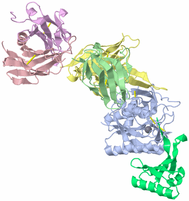 Image Asym./Biol. Unit