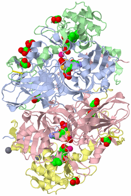 Image Asym./Biol. Unit