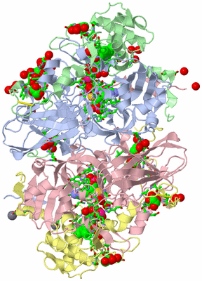 Image Asym./Biol. Unit - sites