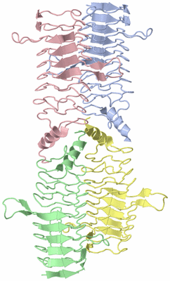 Image Asymmetric Unit