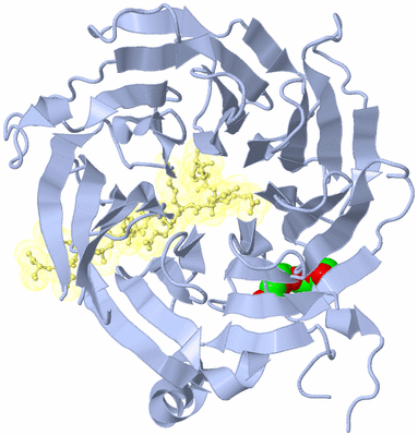 Image Biological Unit 1