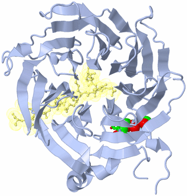 Image Biol. Unit 1 - sites