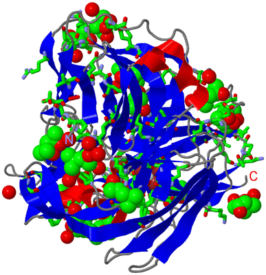 Image Asym./Biol. Unit - sites