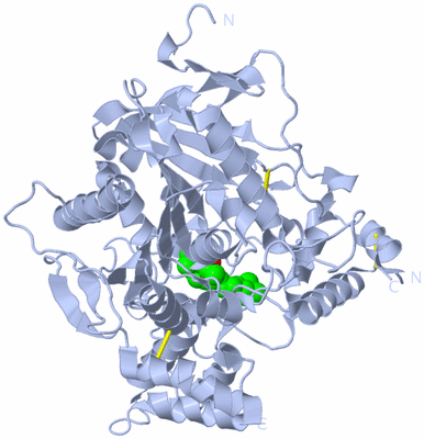 Image Biological Unit 1