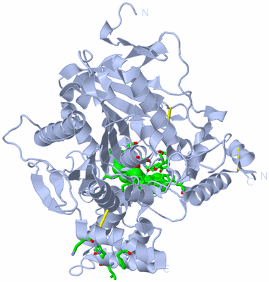 Image Biol. Unit 1 - sites