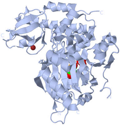 Image Biological Unit 1