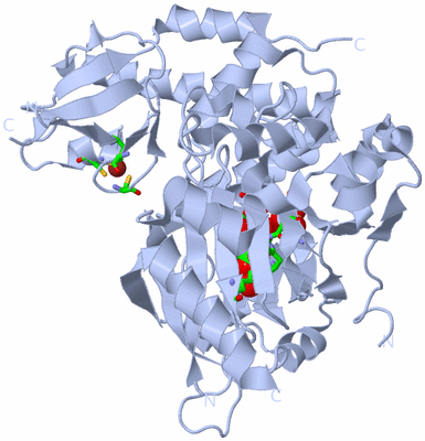 Image Biol. Unit 1 - sites