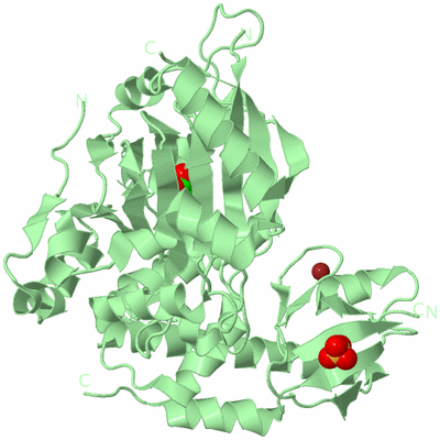 Image Biological Unit 2