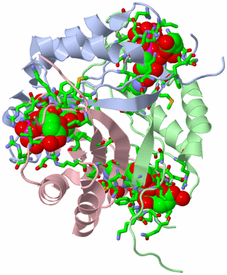 Image Biol. Unit 1 - sites