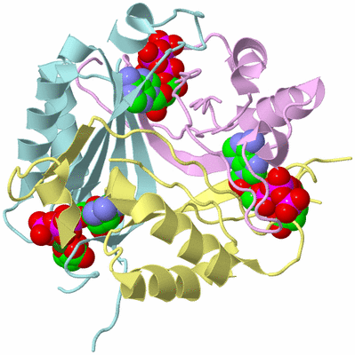 Image Biological Unit 2