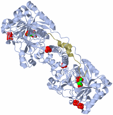 Image Biological Unit 1