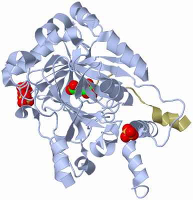 Image Biological Unit 2