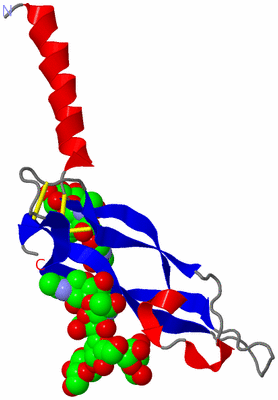 Image Asymmetric Unit