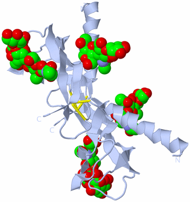 Image Biological Unit 1