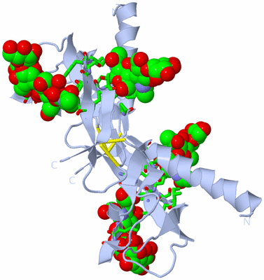 Image Biol. Unit 1 - sites