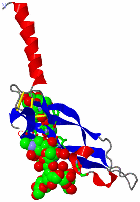 Image Asym. Unit - sites