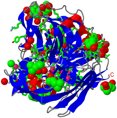 Image Asym./Biol. Unit - sites