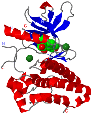 Image Asym./Biol. Unit