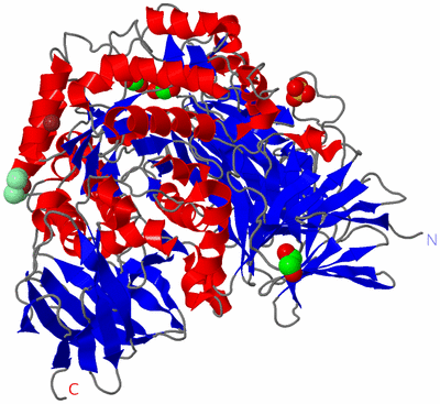 Image Asym./Biol. Unit