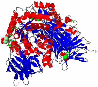 Image Asym./Biol. Unit - sites