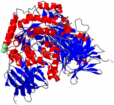 Image Asym./Biol. Unit