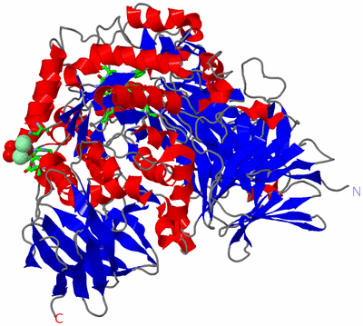 Image Asym./Biol. Unit - sites