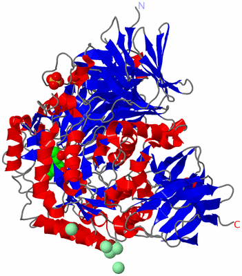 Image Asym./Biol. Unit