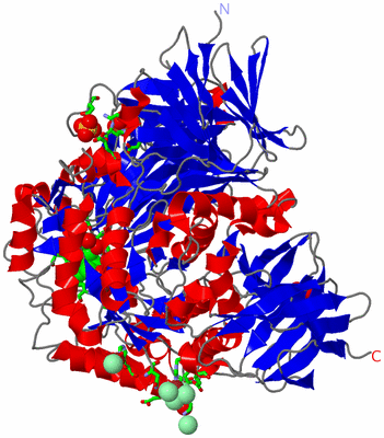 Image Asym./Biol. Unit - sites