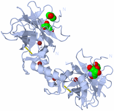 Image Biological Unit 1