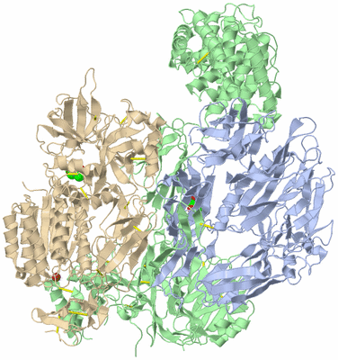 Image Biological Unit 1