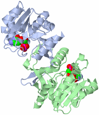 Image Asym./Biol. Unit