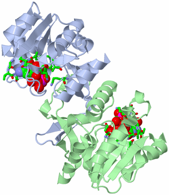 Image Asym./Biol. Unit - sites