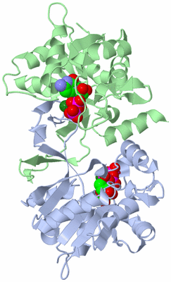 Image Asym./Biol. Unit