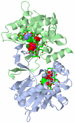 Image Asym./Biol. Unit - sites