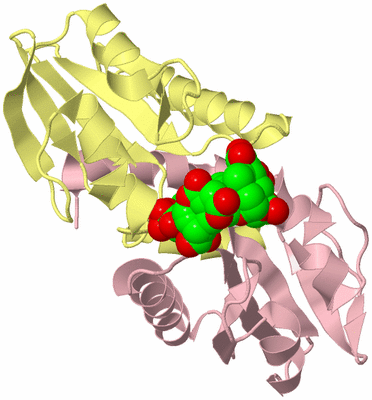 Image Biological Unit 2