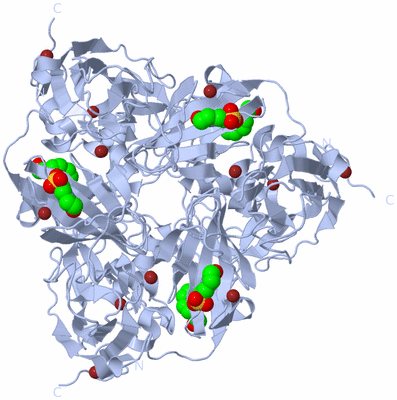 Image Biological Unit 1