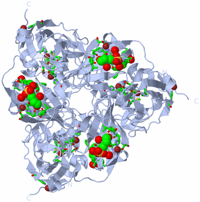 Image Biol. Unit 1 - sites