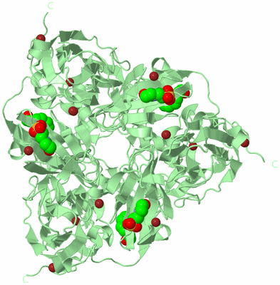 Image Biological Unit 2