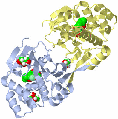 Image Biological Unit 1